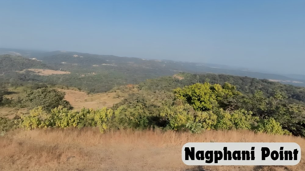 NagPhani Point (Serpent’s Hood)