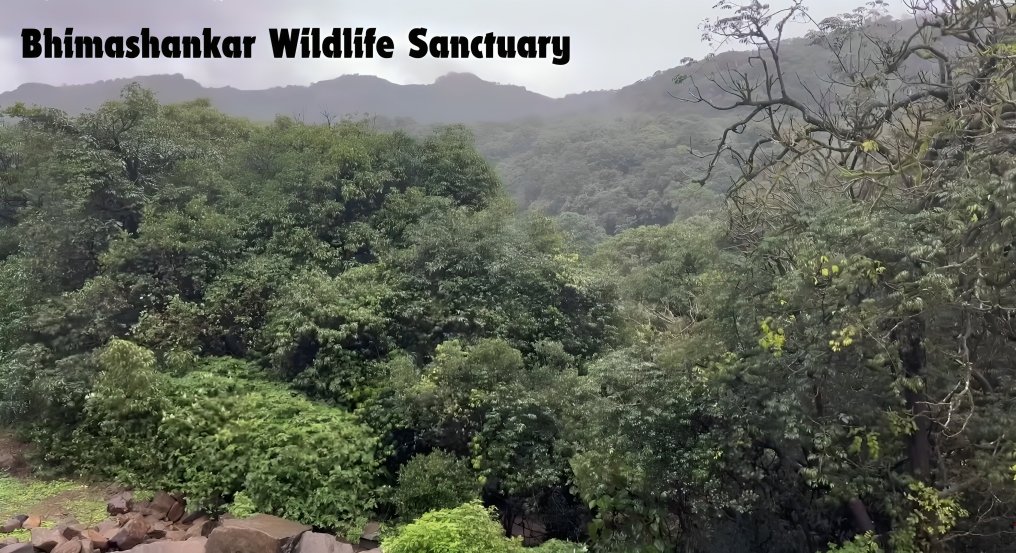 Bhimashankar Wildlife Sanctuary