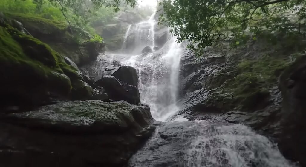 Water Fall (Gupt Bhimashankar)