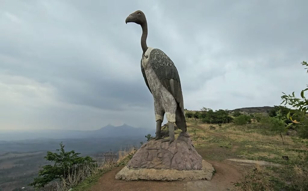 Vulture Point