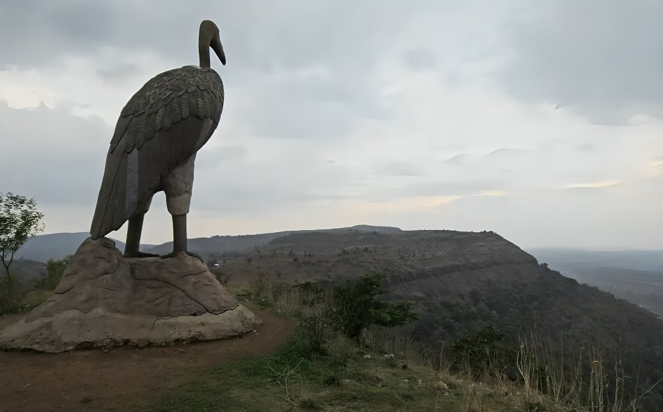 Vulture Point