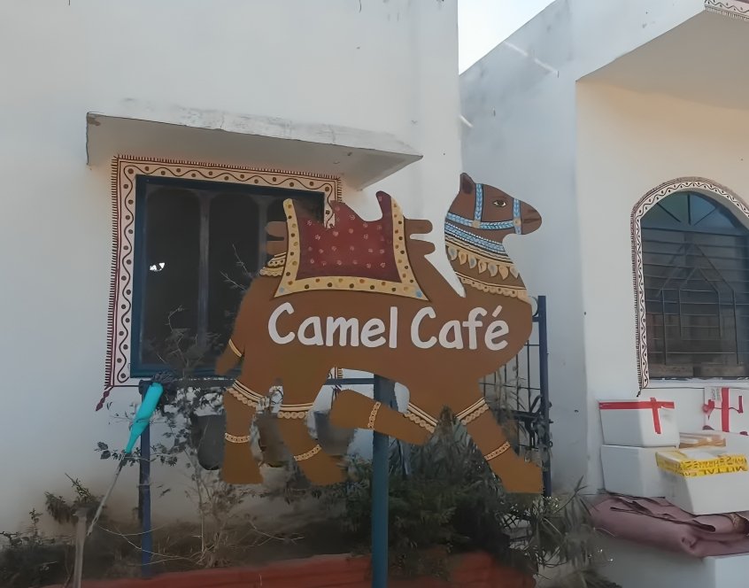 Camel Conservation Centre