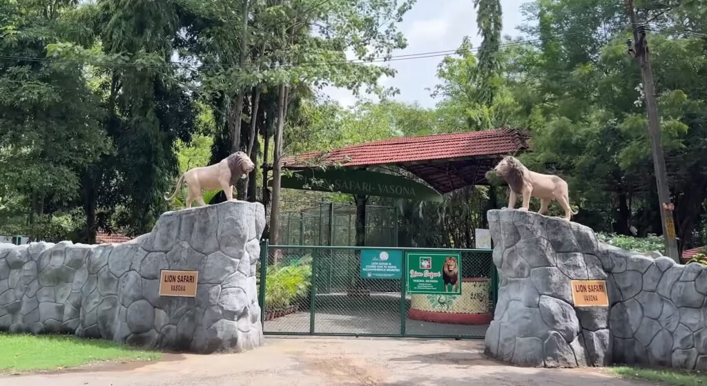 Vasona Lion Safari