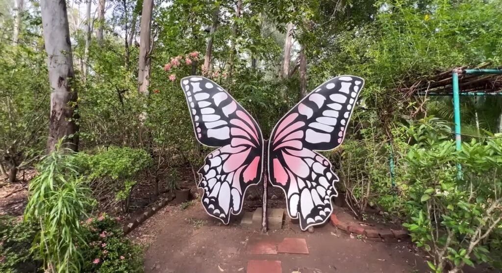 Butterfly Park