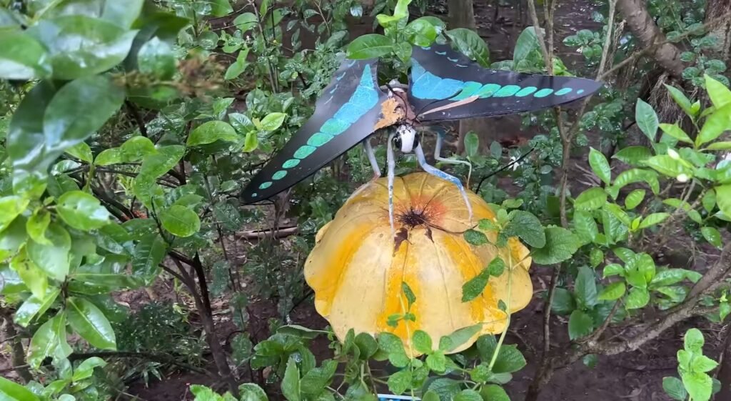 Butterfly Park