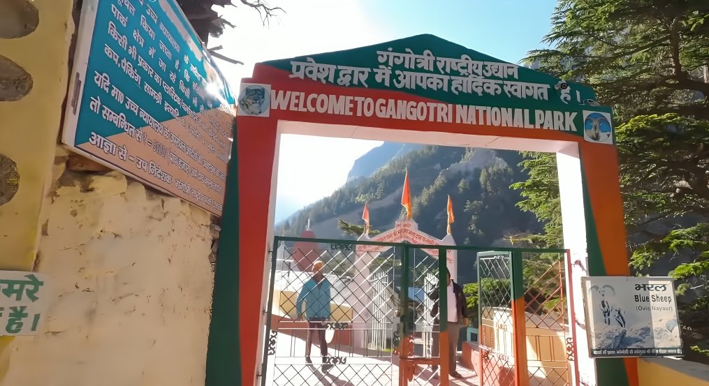 Gangotri National Park